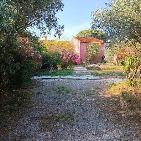 Maison De Vacances, Proche De La Plage Fréjus 외부 사진