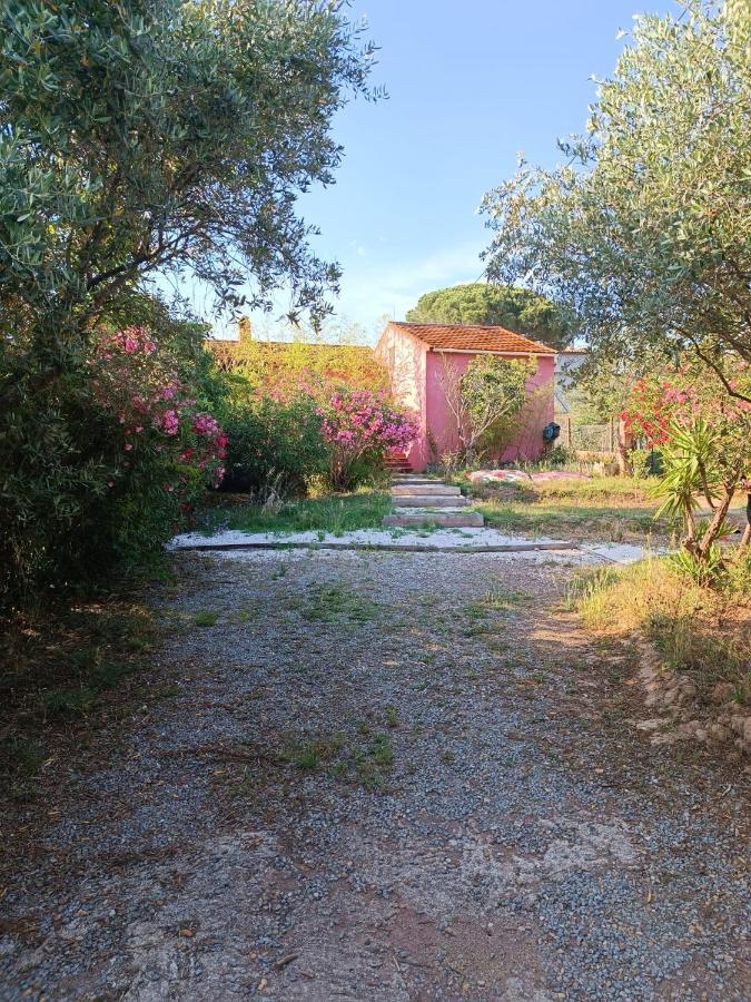Maison De Vacances, Proche De La Plage Fréjus 외부 사진